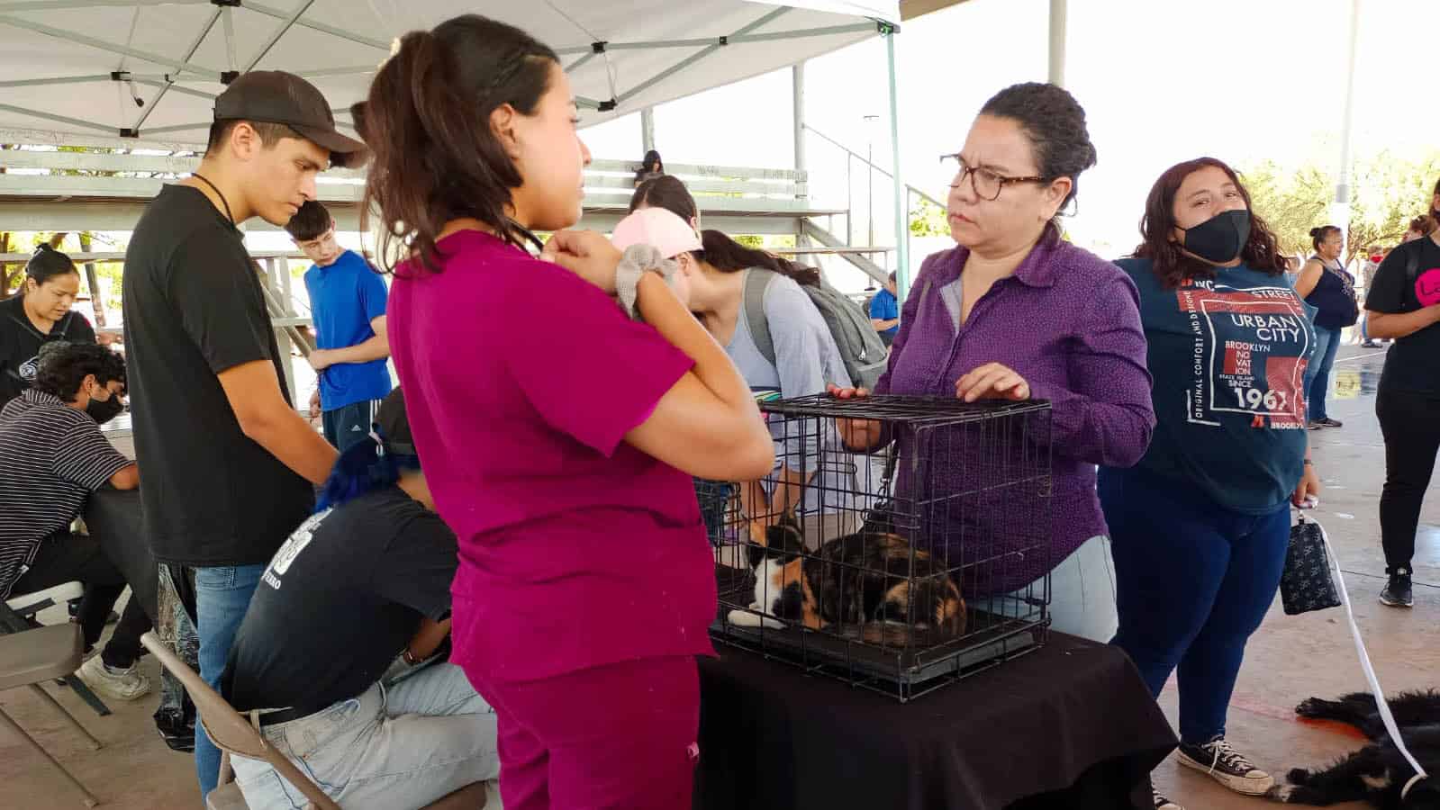 Realizan jornada de bienestar y salud canina en la colonia La Cholla