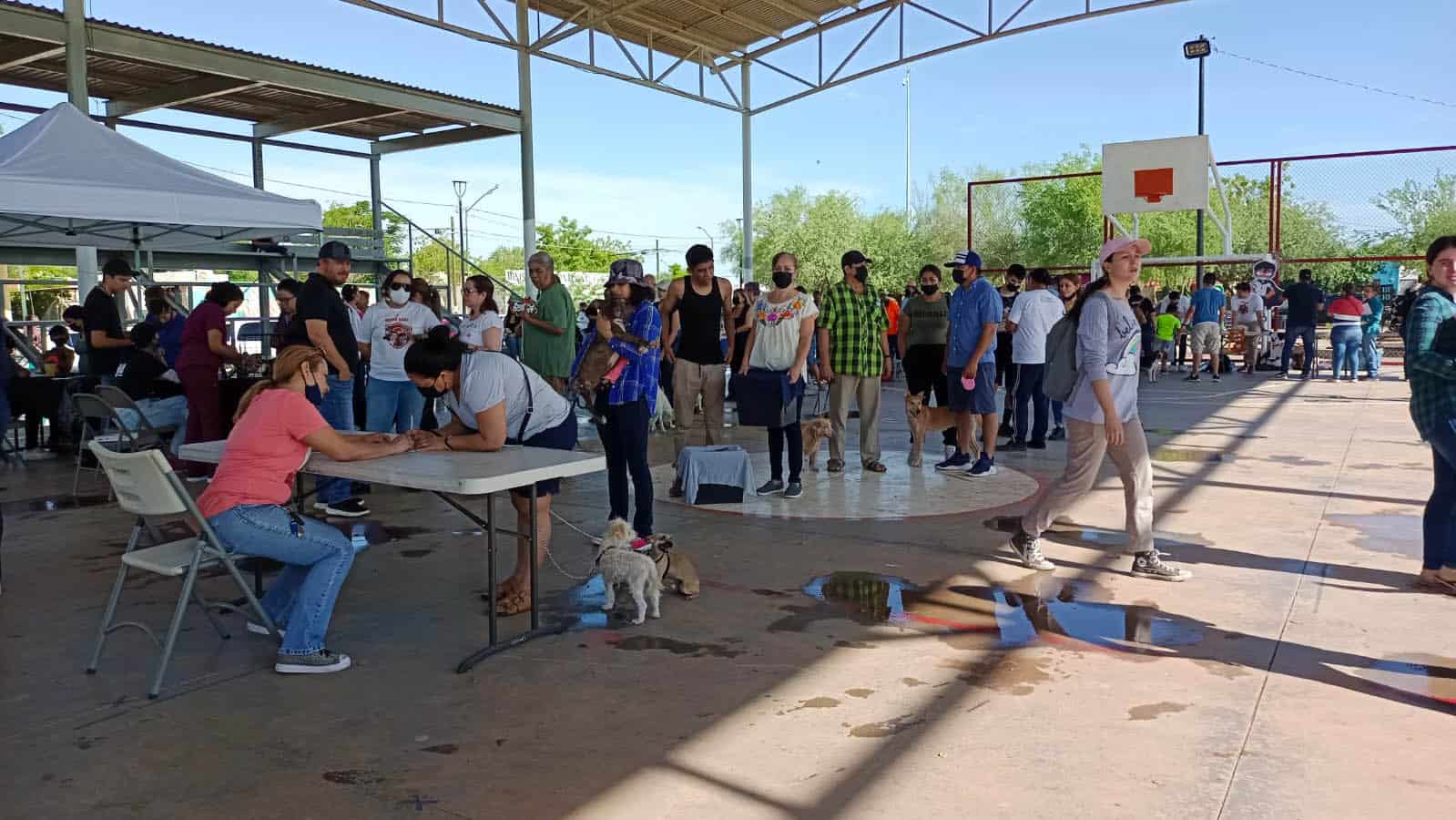 Realizan jornada de bienestar y salud canina en la colonia La Cholla