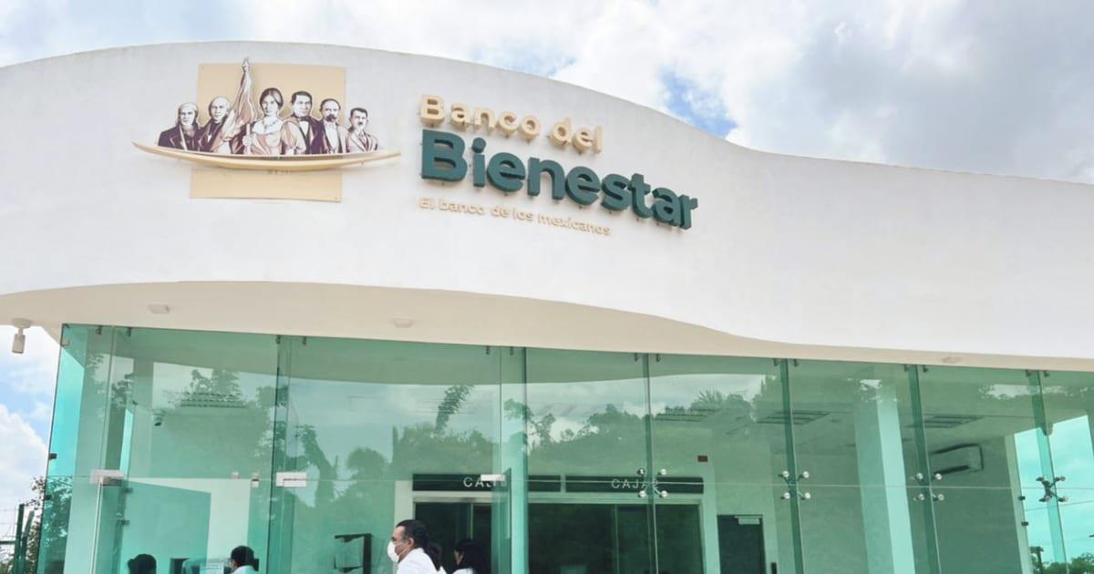 Banco del Bienestar registra desplome de 80% en ganancias 