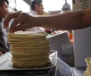 Tortilla de maíz podría tener nuevo aumento de precio: Canacope Hermosillo