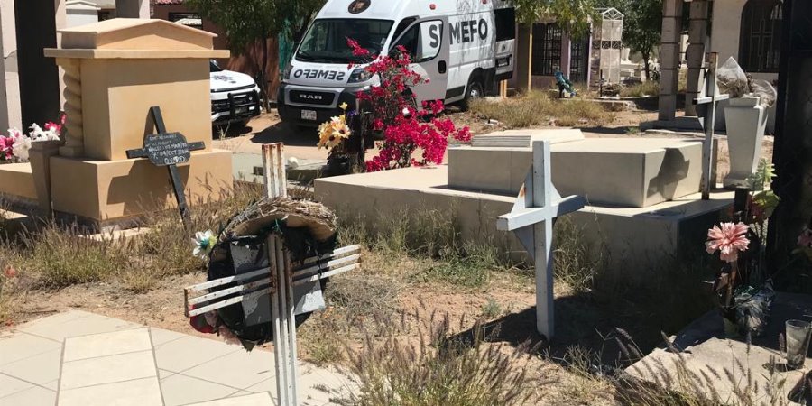 Trabajador de panteón se quita la vida; lo hallan en árbol