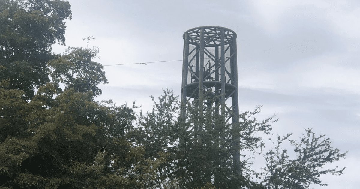 Retirarán torre de tirolesa de Laguna del Náinari tras 10 años en desuso