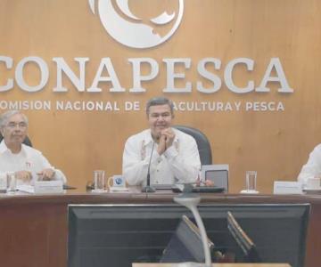 Analizan demanda de productores acuícolas por ingreso de camarón