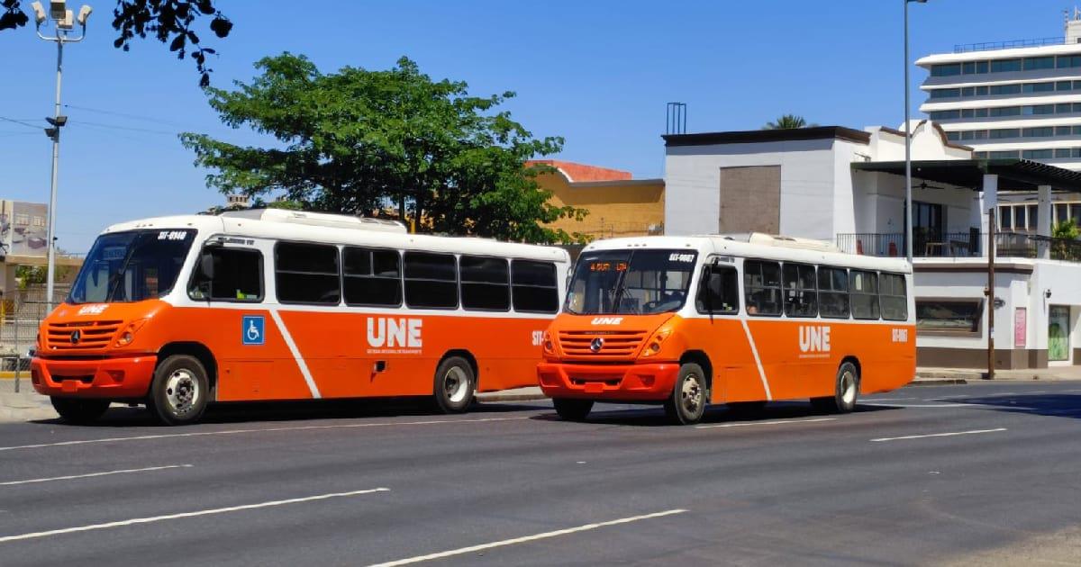 De 2007 a 2023 ha bajado la flotilla de camiones: Vigilantes del Transporte