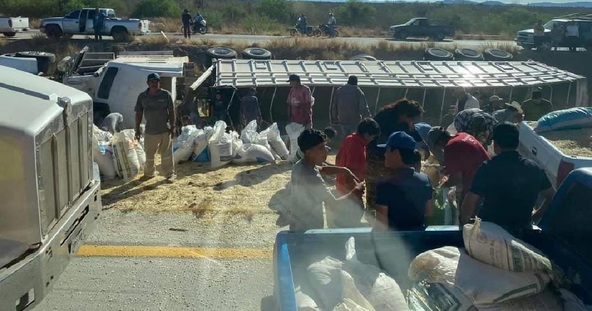 Tráiler cargado de maíz terminó volcado en Mochis-Navojoa; Hubo rapiña