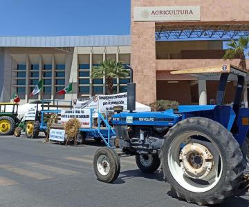 Productores de Sonora presentarán controversia con titular de Sader