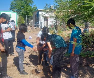 Colectivo Huertos y Más realizará taller para cultivar tu propio huerto