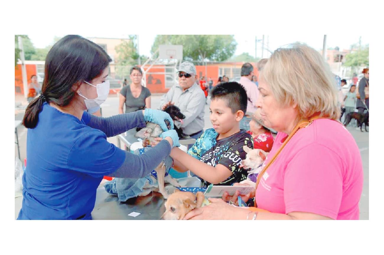 Brinda Sonora 33 mil servicios a mascotas