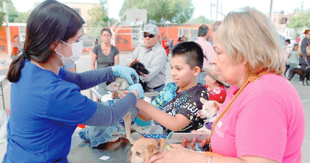 Realiza Impba más de 6 mil castraciones de perros y gatos en Hermosillo