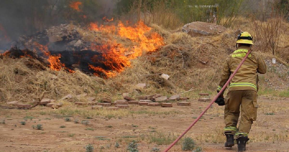 Bomberos atienden alrededor de 7 incendios de maleza diarios