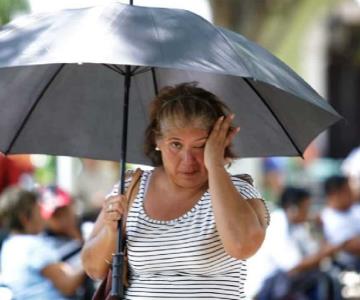 Altas temperaturas y cielos despejados para municipios de Sonora este domingo