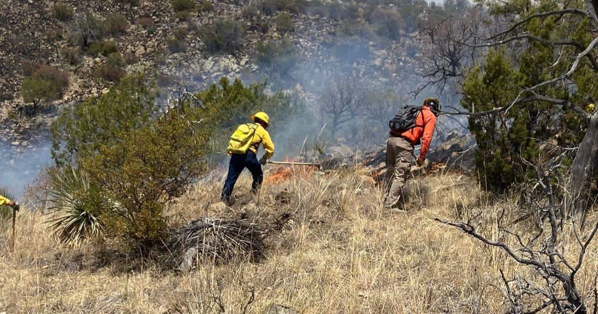 Se rompe récord de incendios forestales en Sonora en lo que va del año