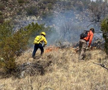 Se rompe récord de incendios forestales en Sonora en lo que va del año