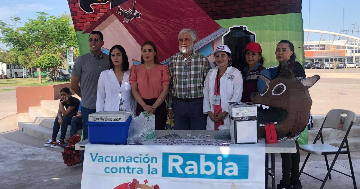 Refuerzan jornada contra rickettsiosis en Cajeme