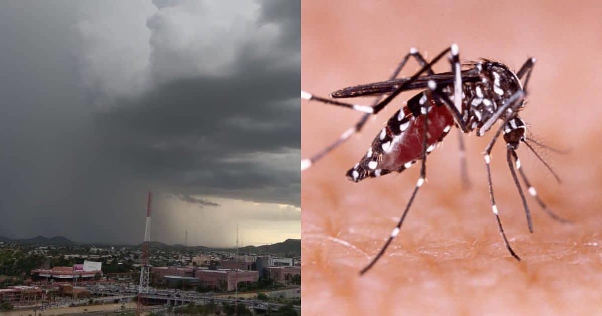 Con la llegada de tormentas, llaman a aumentar medidas contra el dengue