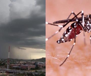 Con la llegada de tormentas, llaman a aumentar medidas contra el dengue