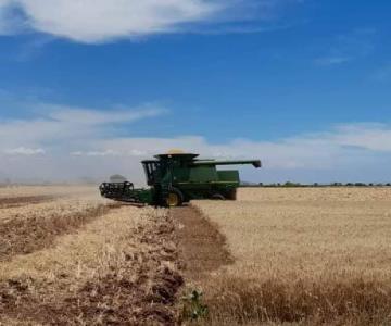 Agricultores ven un complicado panorama para el próximo ciclo 2023-2024