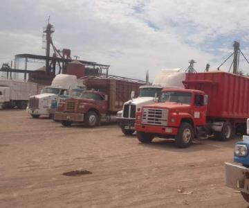 Productores agrícolas corren el riesgo de caer en cartera vencida