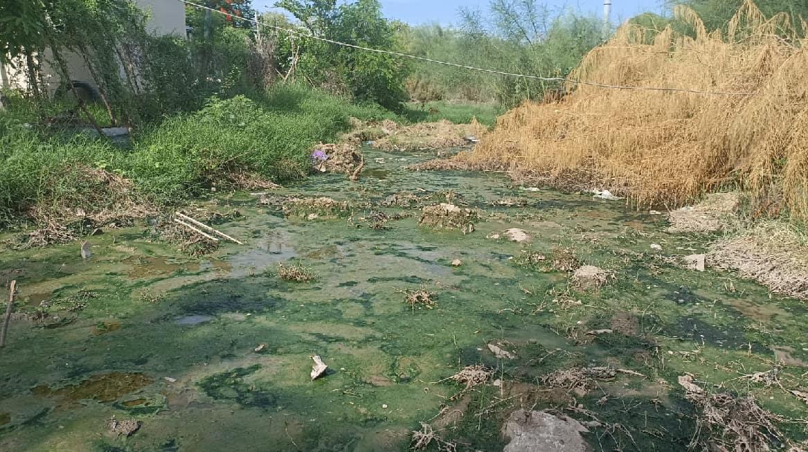 Vecinos de la Mocuzarit viven entre aguas negras