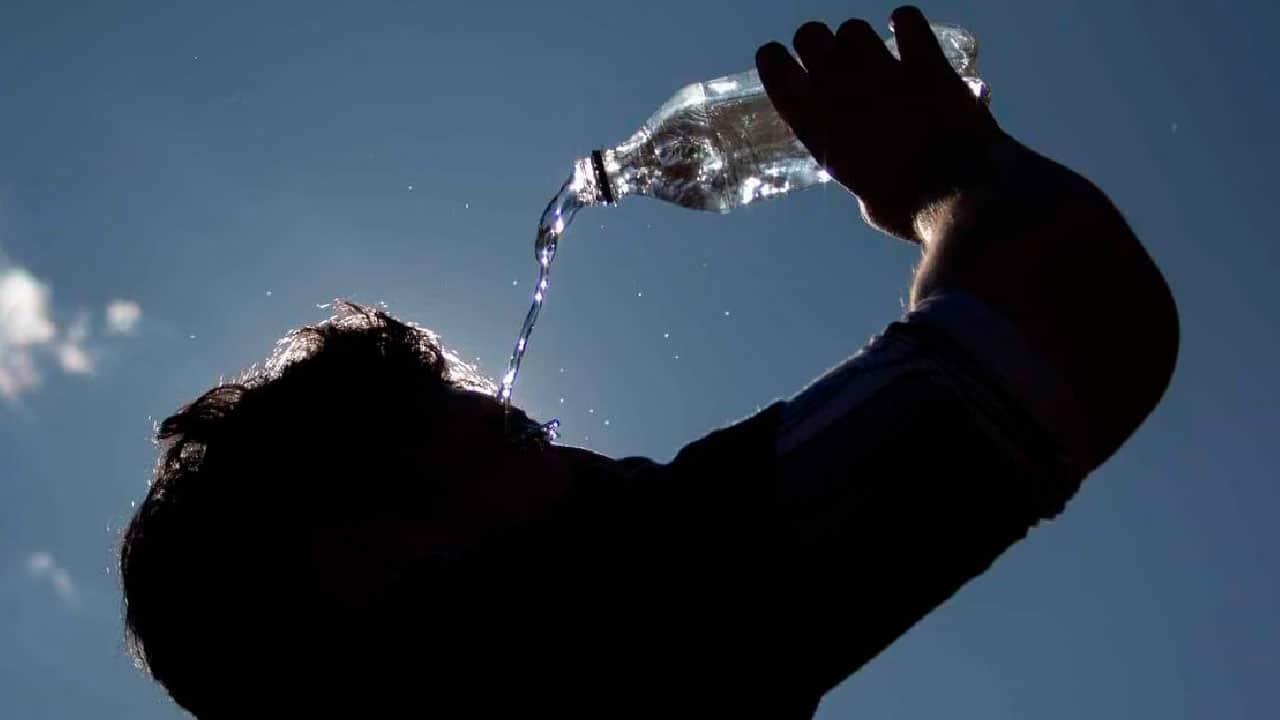 ¿Cuáles son los síntomas y qué hacer en caso de golpe de calor?