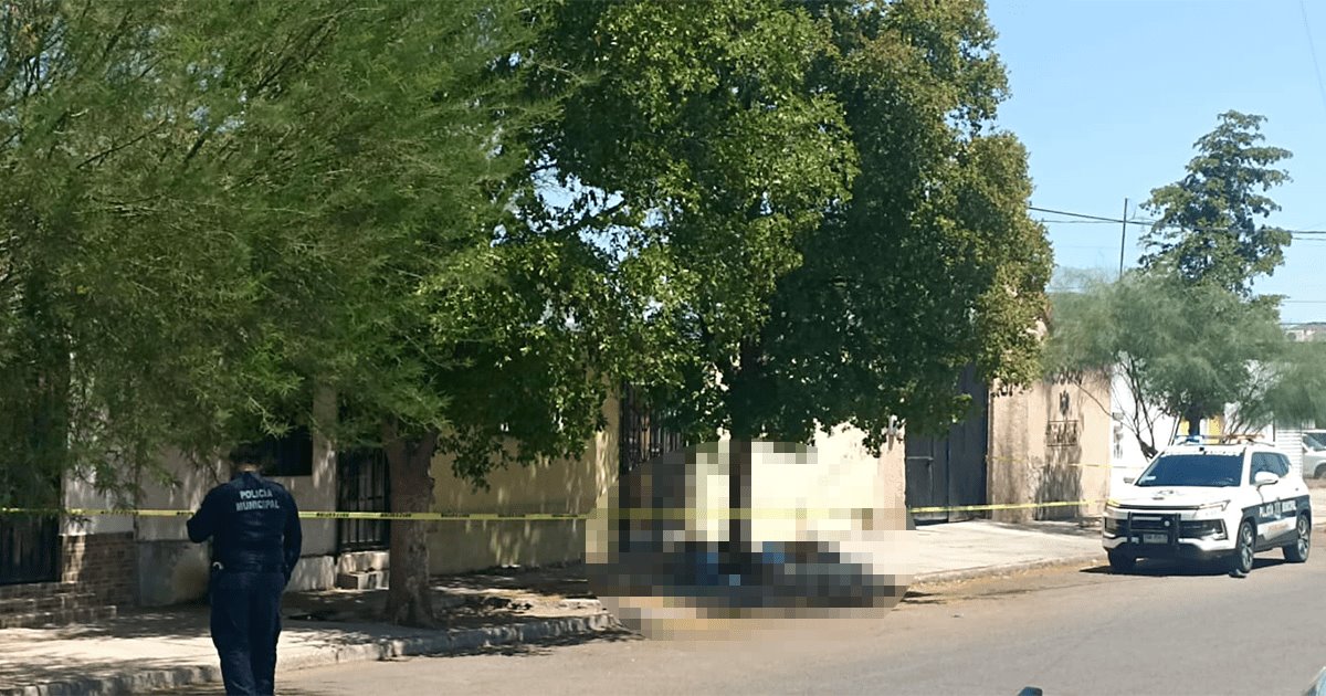 Hombre en situación de calle fallece bajo un árbol; posible golpe de calor