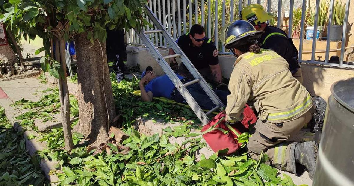 Hombre de la tercera edad lesionado tras quedar atorado en árbol