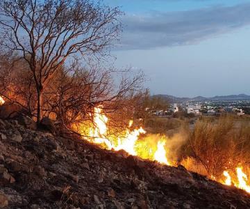 Bomberos de Hermosillo sofocaron incendio en el Cerro del Bachoco