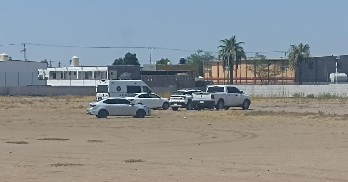 Hallan cuerpo sin vida de un hombre dentro de un campo en colonia Sahuaro