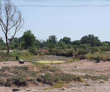 Crítico panorama en el Río Mayo disminuye las ventas de comerciantes