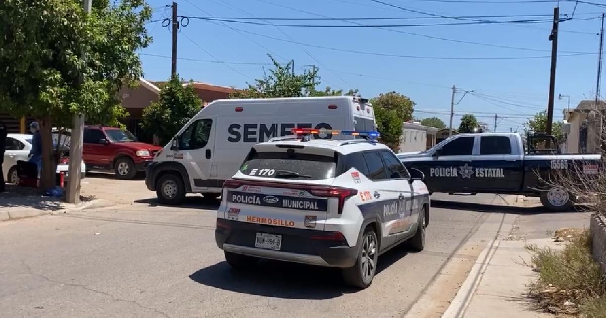 Causa alarma perro muerto en una maleta en la colonia El Sahuaro