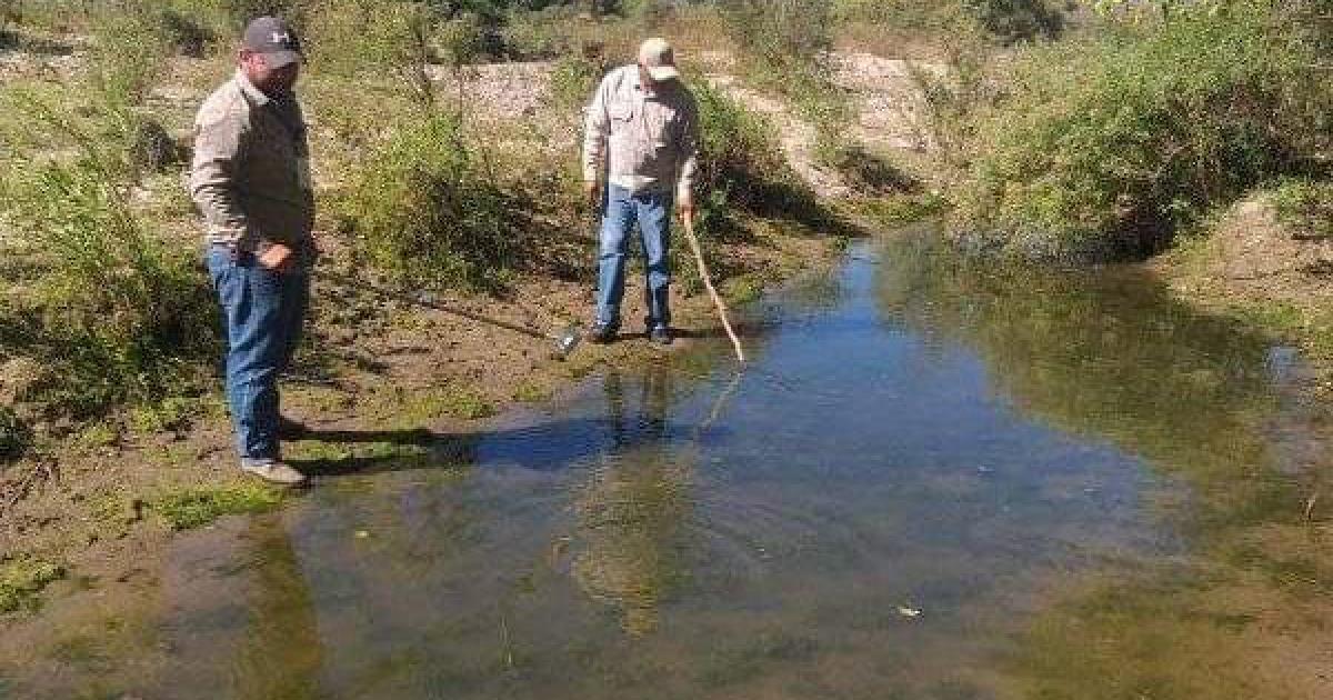 Navojoa sigue sin casos registrados de dengue: Álvarez Cevallos