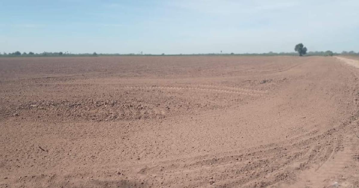 Productores esperan una mayor captación de agua en la presa del Mocúzari