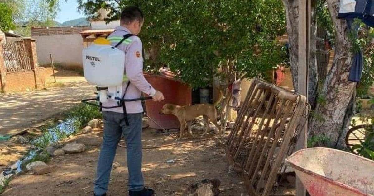 Alertan por fuertes brotes de garrapatas en Álamos