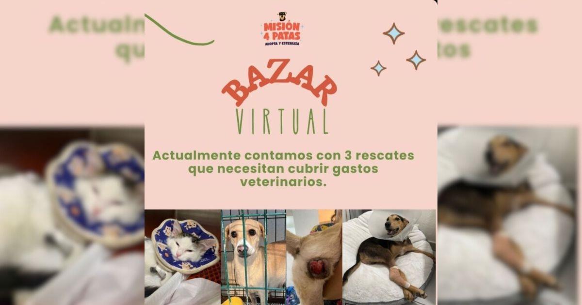 Misión 4 Patas recauda fondos para perros rescatados con bazar virtual