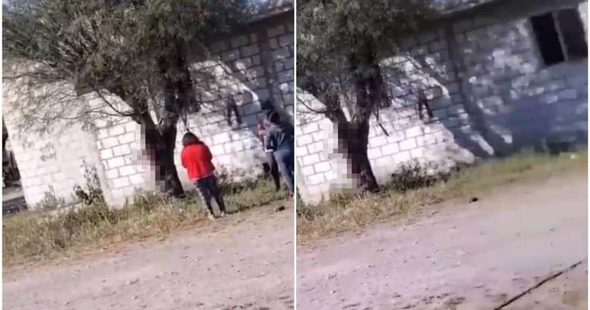 Dos mujeres y un adolescente mataron a un perro al colgarlo de un árbol