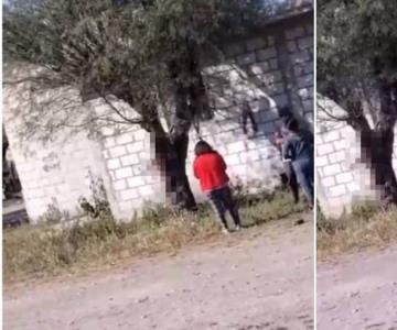 Dos mujeres y un adolescente mataron a un perro al colgarlo de un árbol