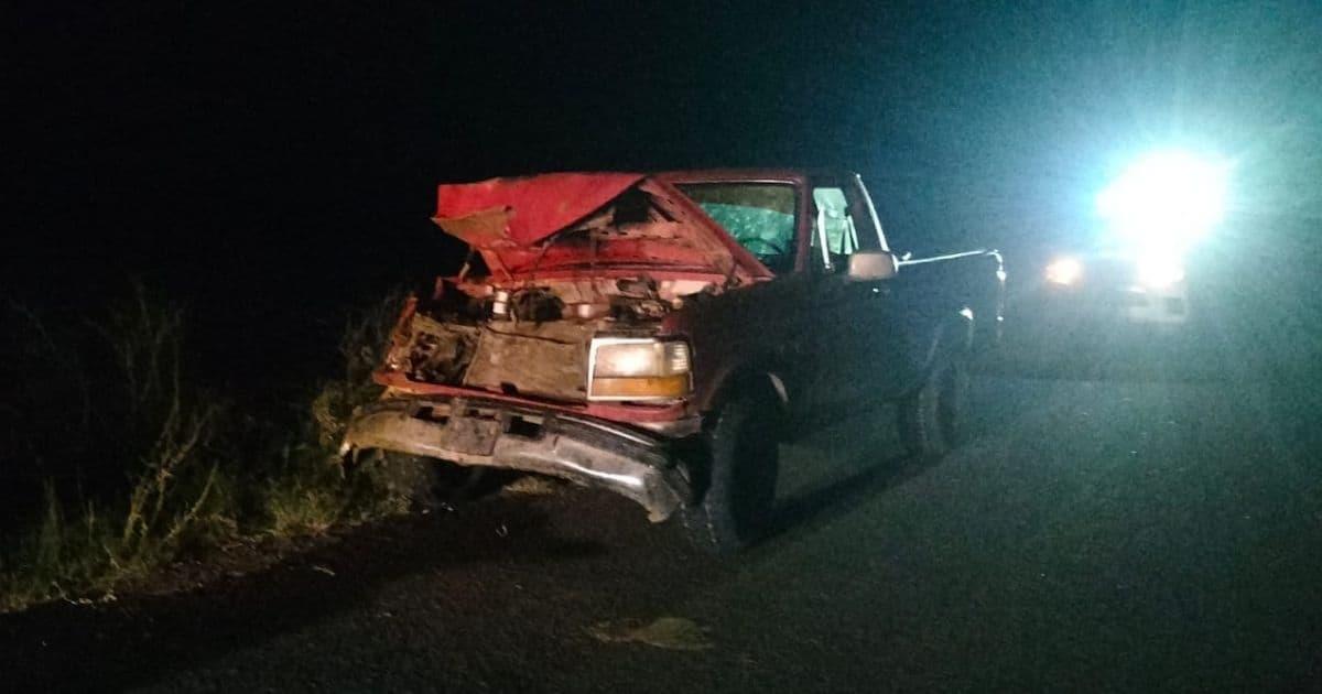 Conductor se estrella contra un caballo en media carretera