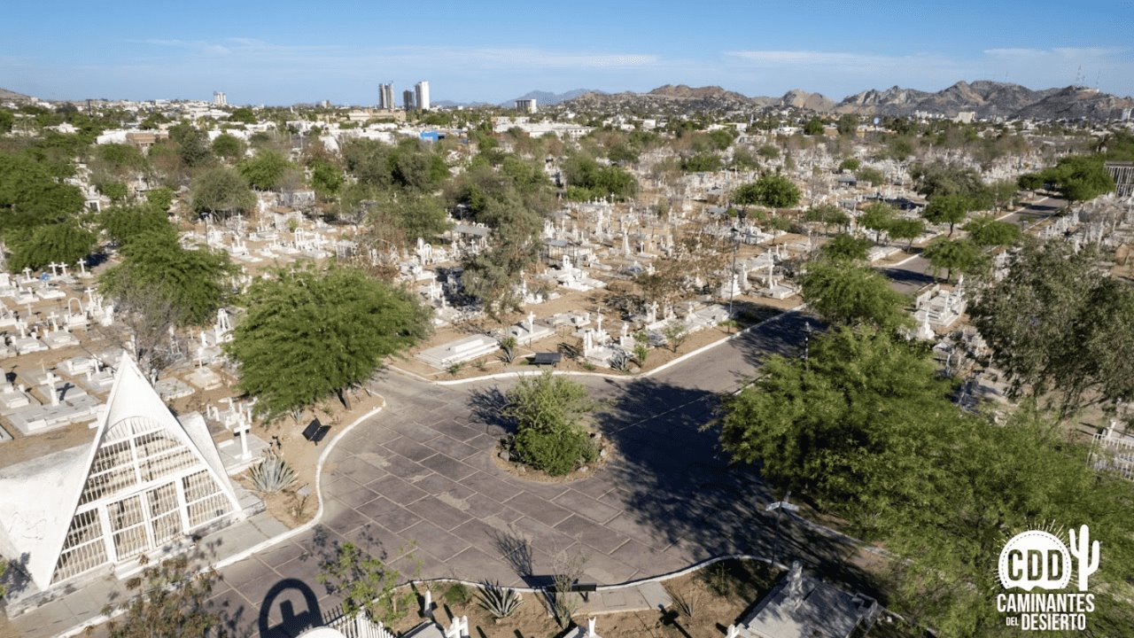 Caminantes del Desierto busca crear bosque urbano en el Panteón Yáñez