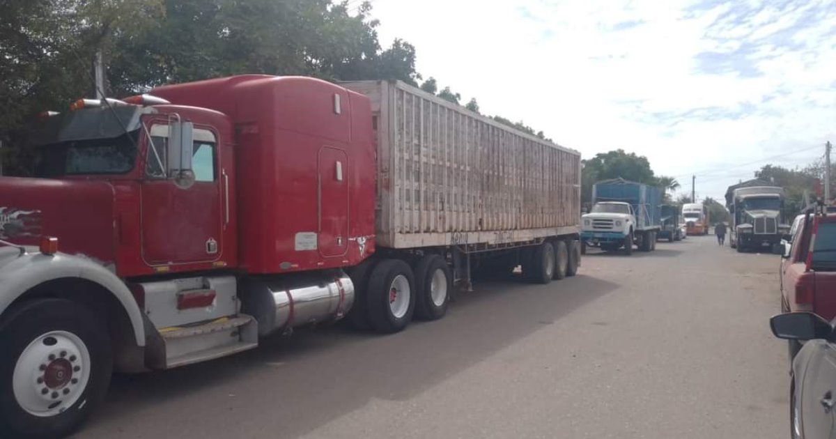 Transportistas también se ven afectados por falta de apoyo a agricultores