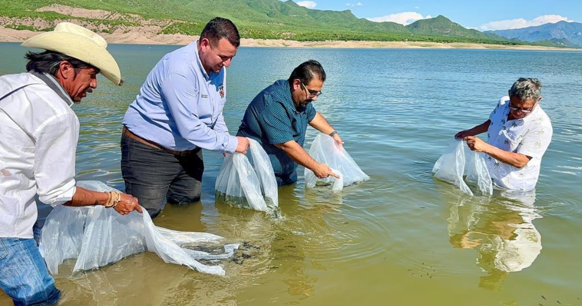 Destacan apoyos de Subsecretaría de Pesca y Acuacultura en El Novillo