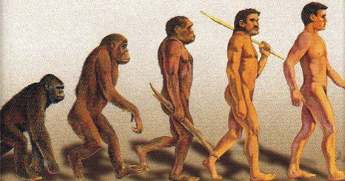 24 de noviembre: Día Mundial de la Evolución