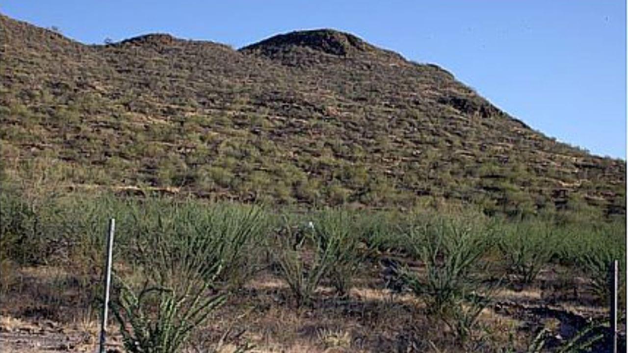 Zona arqueológica trincheras es visitada por estudiantes y pases gratuitos