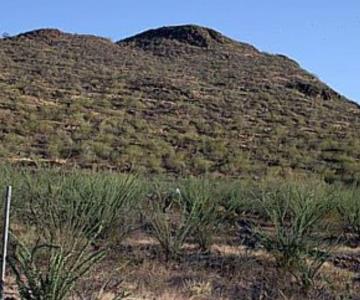 Zona arqueológica trincheras es visitada por estudiantes y pases gratuitos