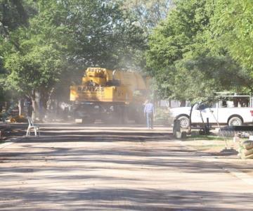 Ambientalistas supervisan obras del Parque Madero en su remodelación