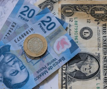 Precio del dólar abre la semana al alza superando los 20 pesos