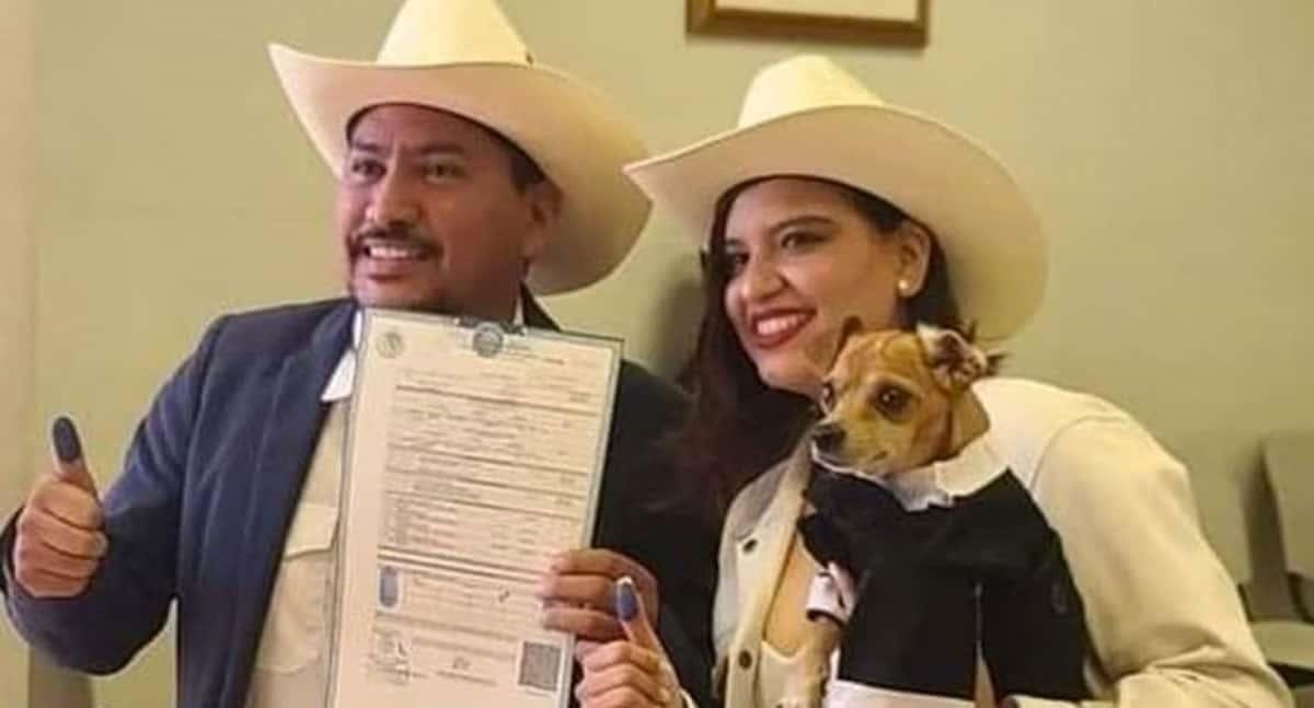 Rogelio, el perrito sonorense que se volvió viral por ser testigo en boda