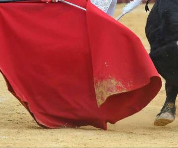 Sonorenses dicen no a corridas de toros; aplauden prohibición