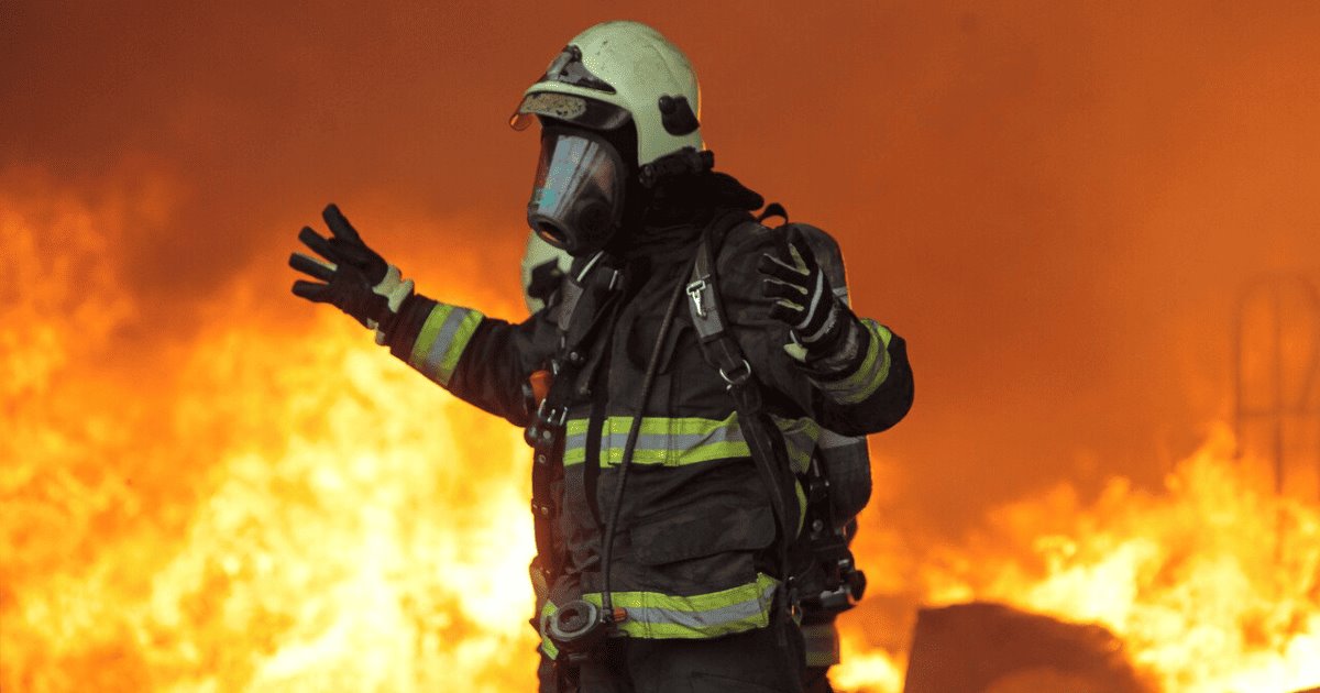 Incendios forestales en Valparaíso han dejado 51 muertos