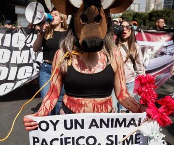 Alistan protesta en Plaza México contra corridas de toros