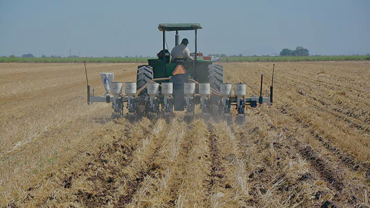 Impulsan en la entidad prácticas agrícolas sustentables: Cimmyt